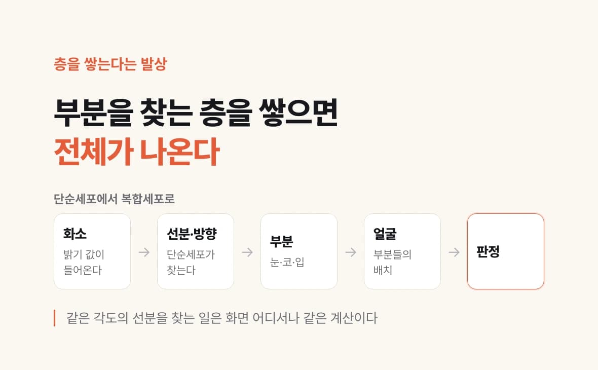 화소에서 선분과 방향으로, 다시 눈·코·입 같은 부분으로, 마지막에 얼굴 전체로 이어지는 층 쌓기 구조를 나타낸 도식.