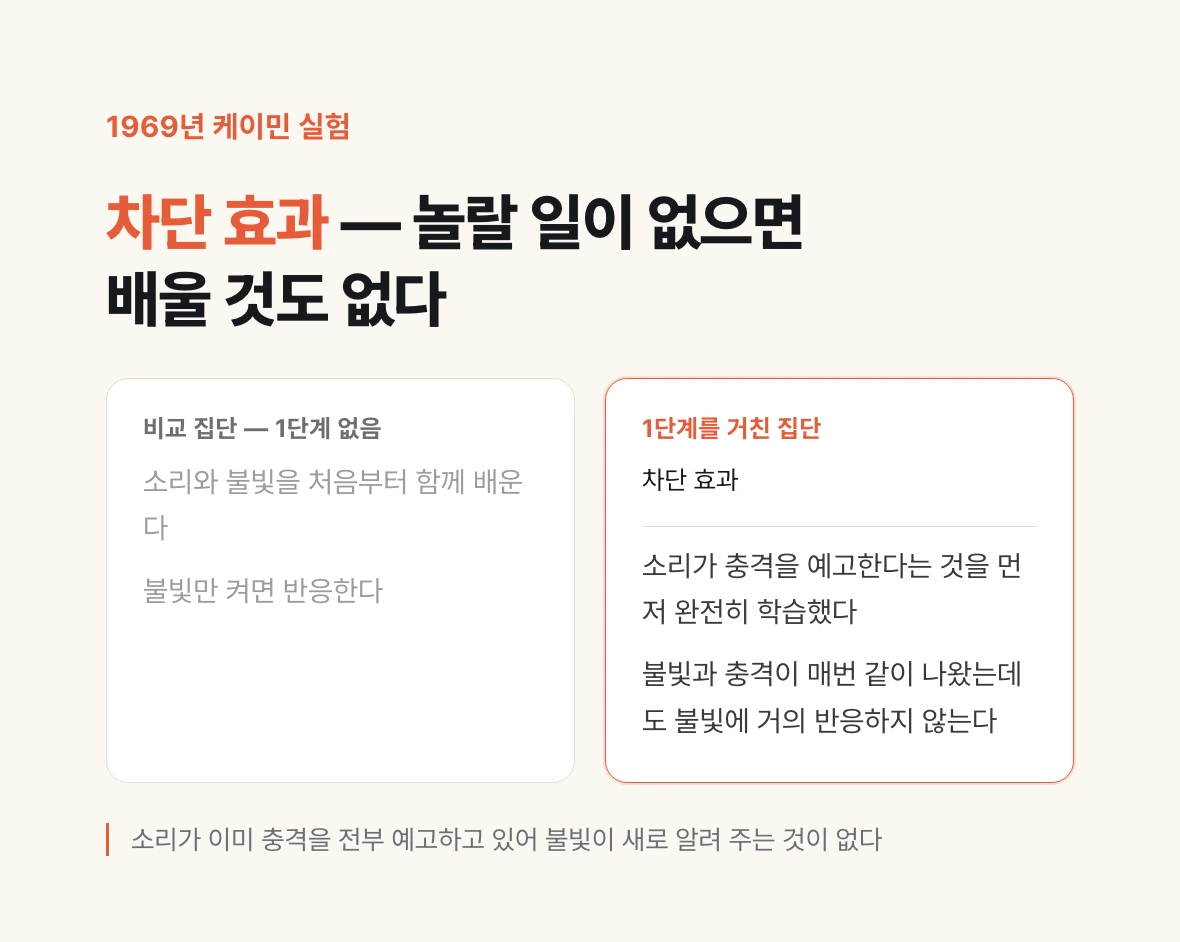 케이민의 차단 효과 실험에서 소리를 먼저 학습한 집단과 그렇지 않은 비교 집단이 불빛에 보인 반응 차이를 대비한 그림