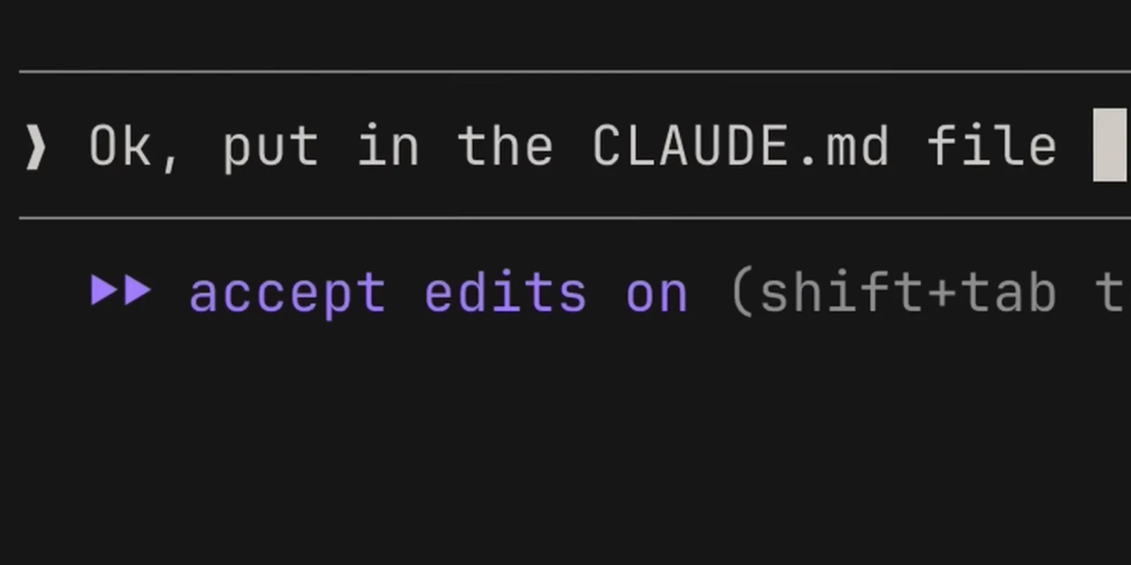 터미널에서 사용자가 'Ok, put in the CLAUDE.md file'이라고 입력해, 방금 정한 규칙을 CLAUDE.md에 추가하도록 지시하는 화면.
