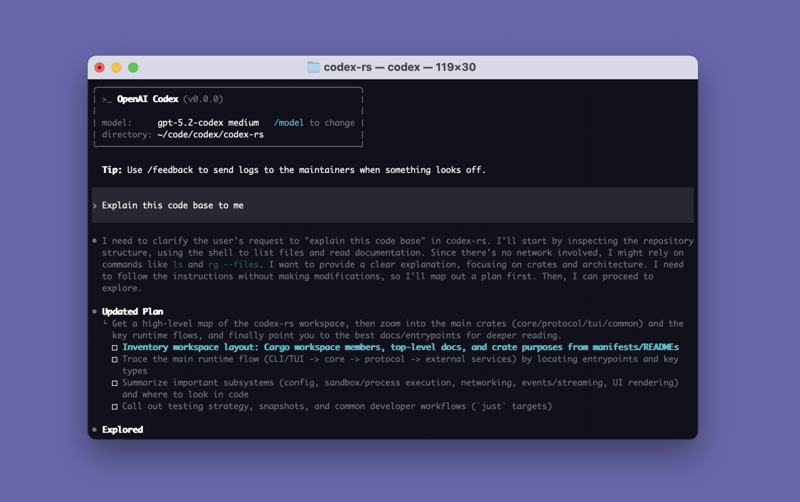 OpenAI Codex CLI 터미널 화면. 모델과 디렉터리 정보, 코드베이스 설명 작업이 보인다.
