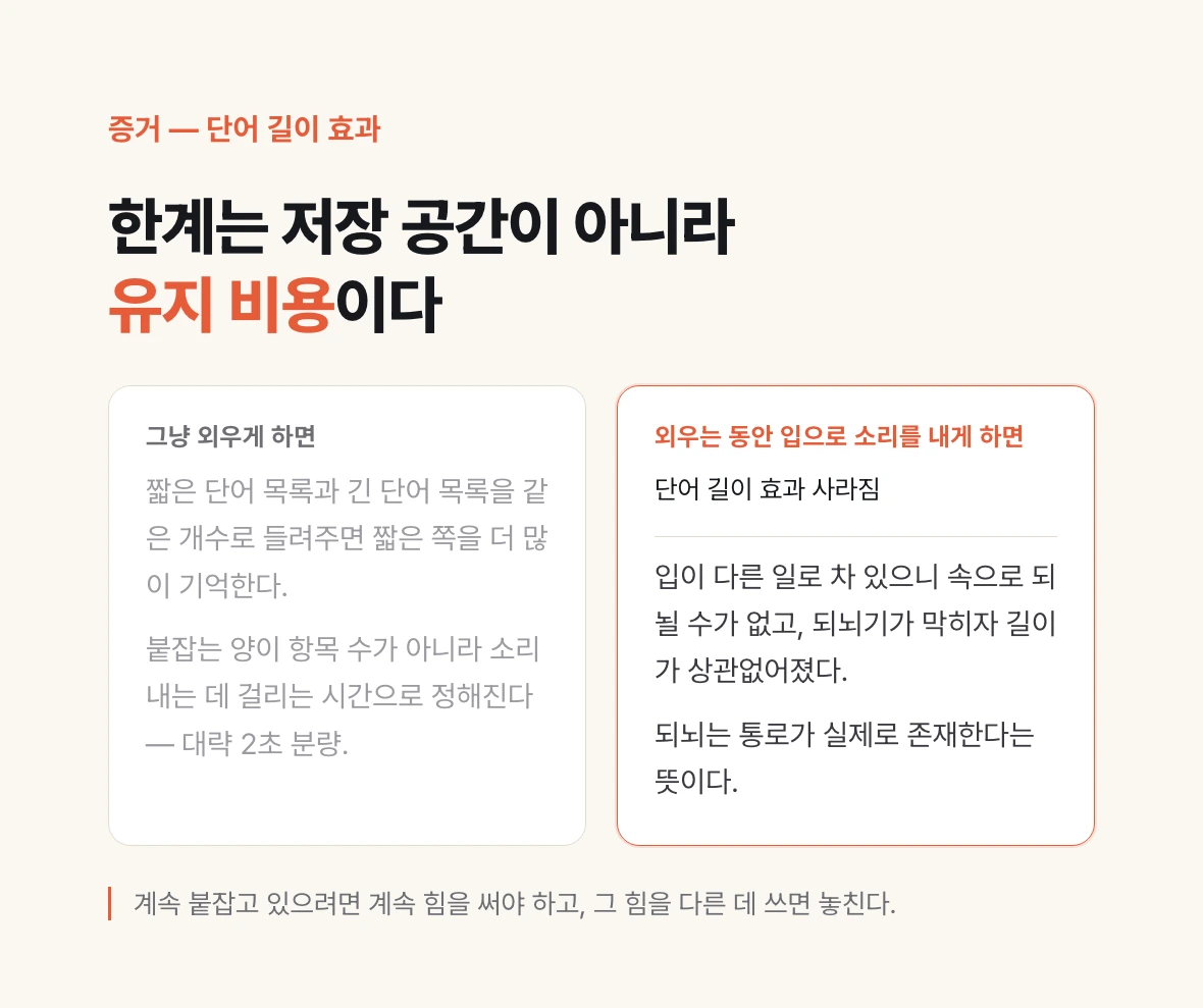 단어 길이 효과와 조음 억제 실험을 좌우로 비교해, 작업기억의 한계가 저장 공간이 아니라 유지 비용임을 보여 주는 그림.